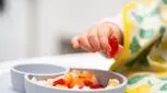 برای وزن گیری کودک، معرفی بیست غذای سالم