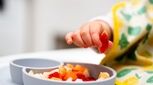 برای وزن گیری کودک، معرفی بیست غذای سالم