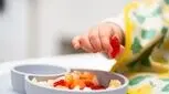 برای وزن گیری کودک، معرفی بیست غذای سالم