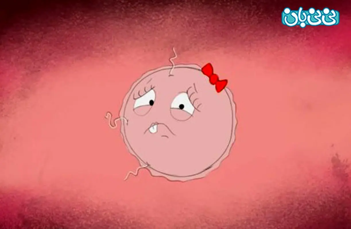 فولیکول بزرگ در تخمدان، چقدر احتمال بارداری داره؟