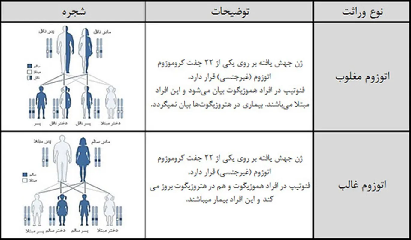 مشاوره ژنتیک قبل از بارداری، چقدر اهمیت دارد؟