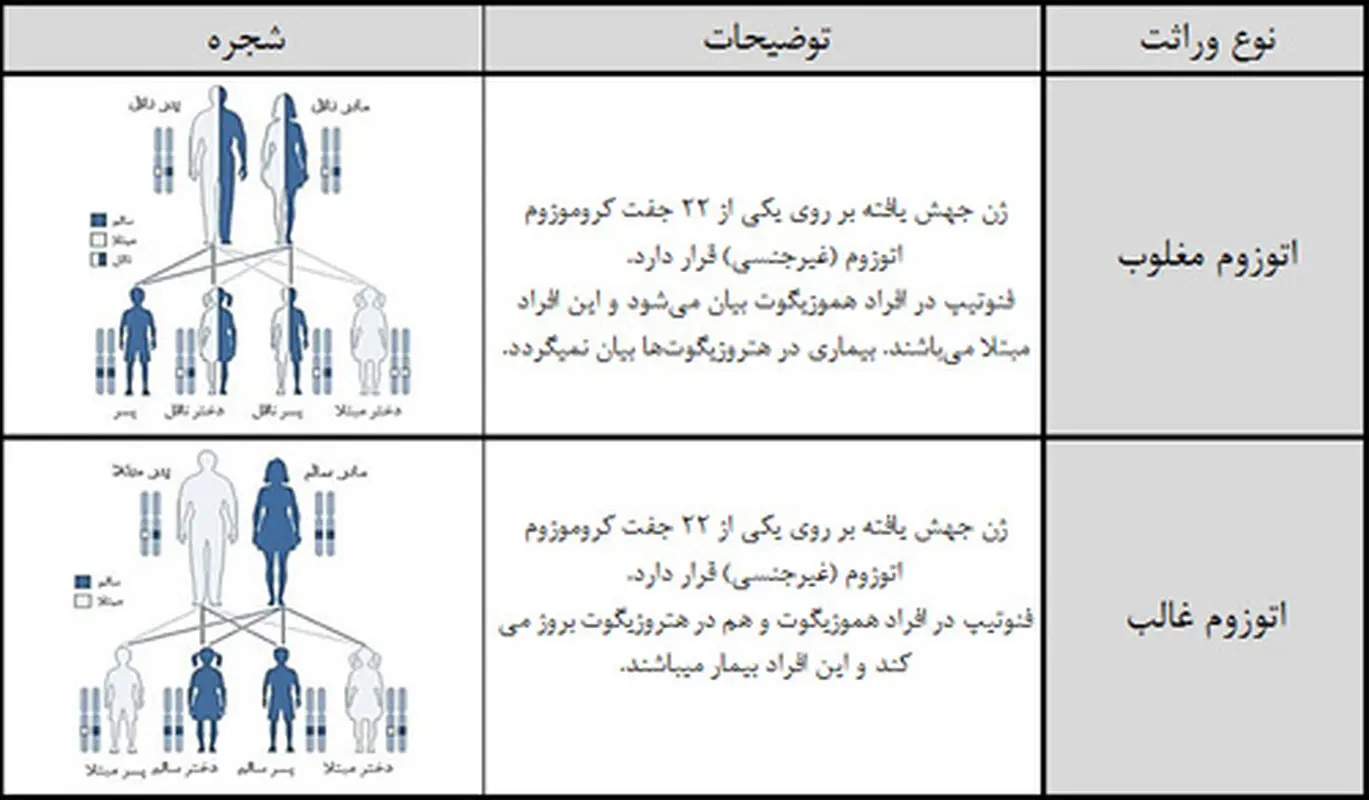 مشاوره ژنتیک قبل از بارداری، چقدر اهمیت دارد؟