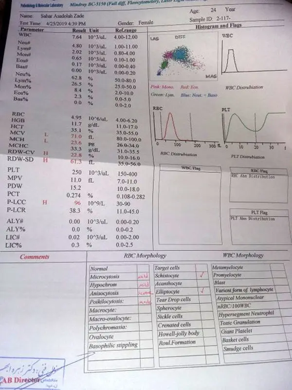 نتیجه آزمایش خون، مشکلی در بارداری ندارم؟