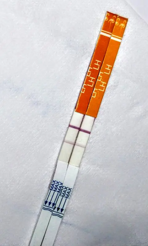 استفاده از کیت تخمک گذاری، کی باید اقدام کنم؟