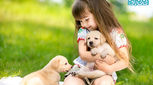 کاهش استرس کودکان، تاثیر حیوانات خانگی