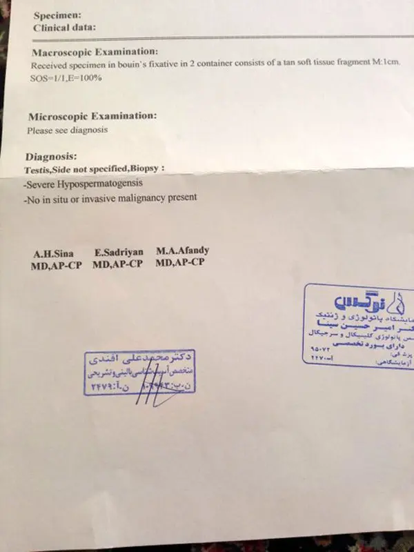 تفسیر بیوپسی بیضه، نتیجه نرمال است؟