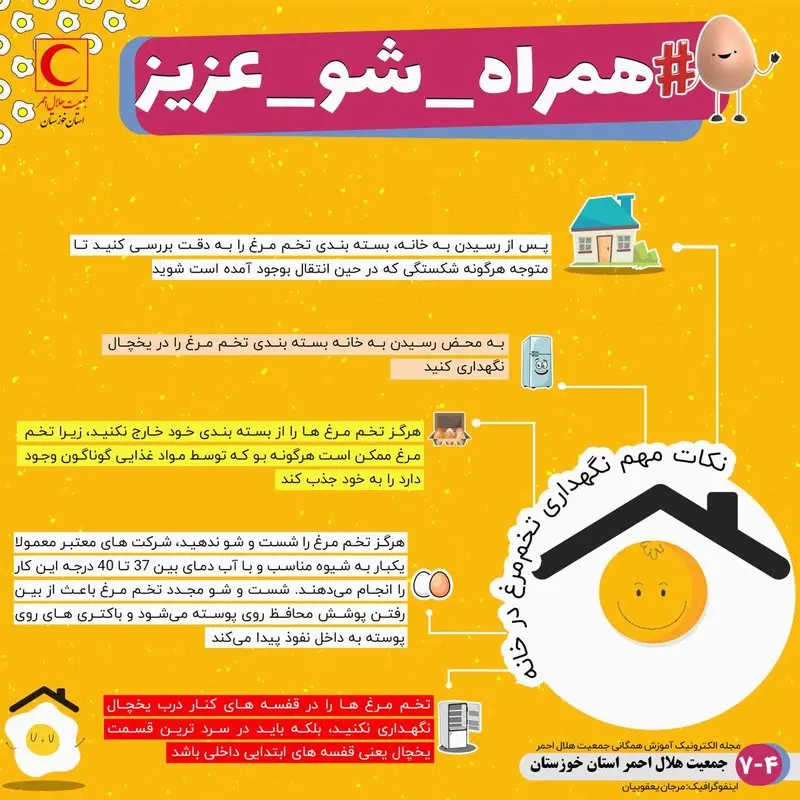 پیشگیری از بیماری کرونا، نکات بهداشتی تخم مرغ