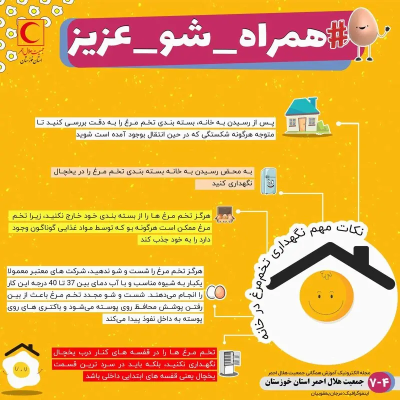 پیشگیری از بیماری کرونا، نکات بهداشتی تخم مرغ
