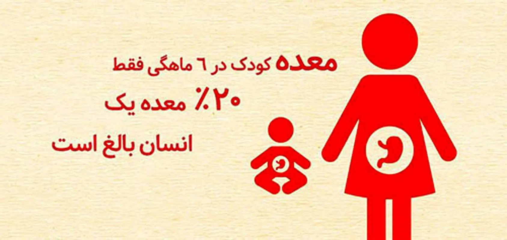 راهنمای شروع غذای جامد