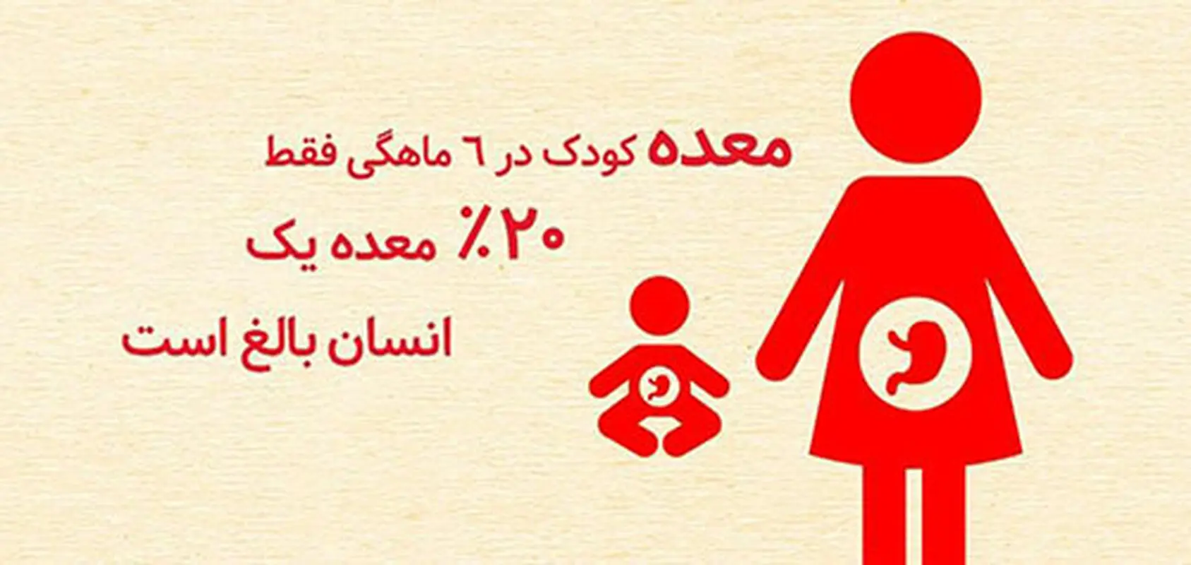 راهنمای شروع غذای جامد