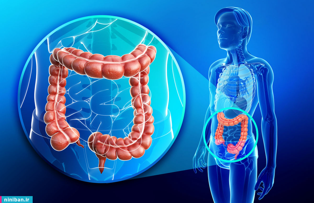 بهترین دکتر جراح کولورکتال و روده بزرگ در تهران