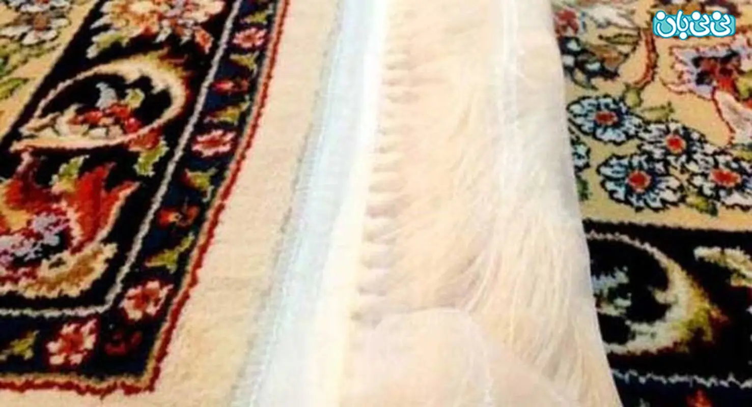 فواید چسب زدن ریشه فرش