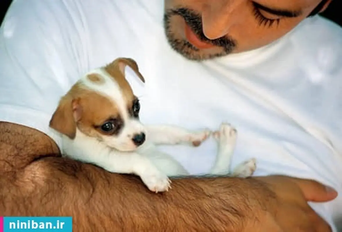 مردهای مورد علاقه زنان، شما هم جزوشان هستید؟