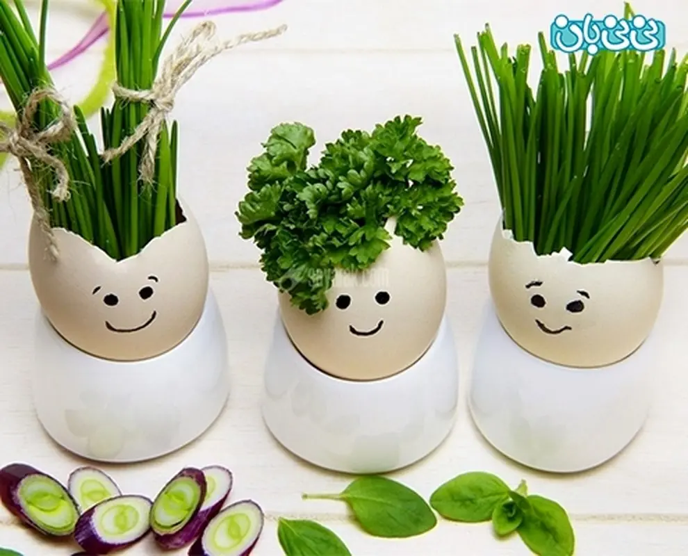 انواع سبزه عید فانتزی، درست کردن‌شان راحت است!