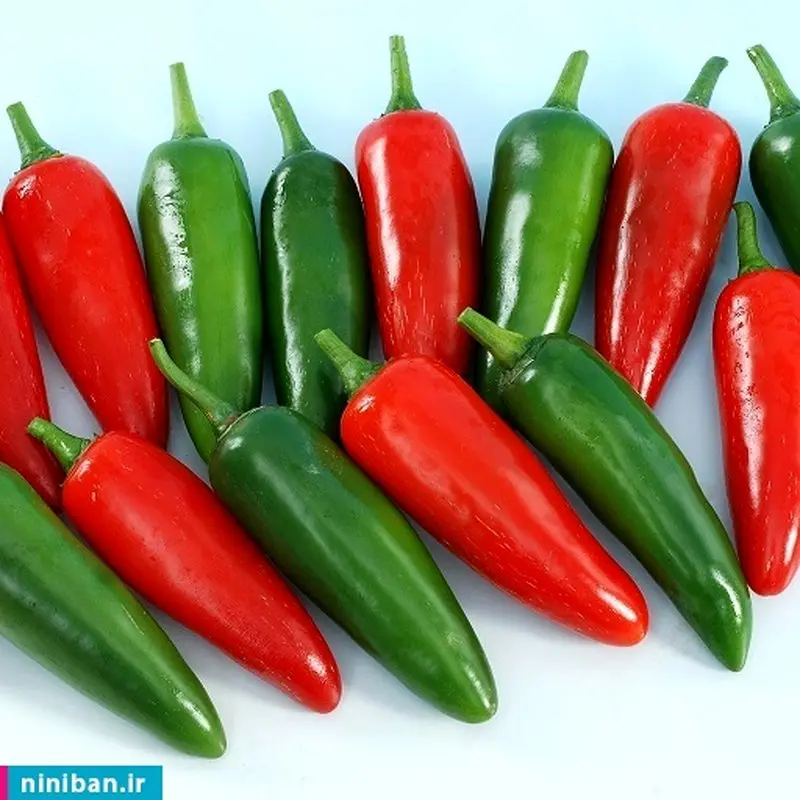 طرز تهیه عدس سرخ شده با سالسا