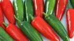 طرز تهیه عدس سرخ شده با سالسا