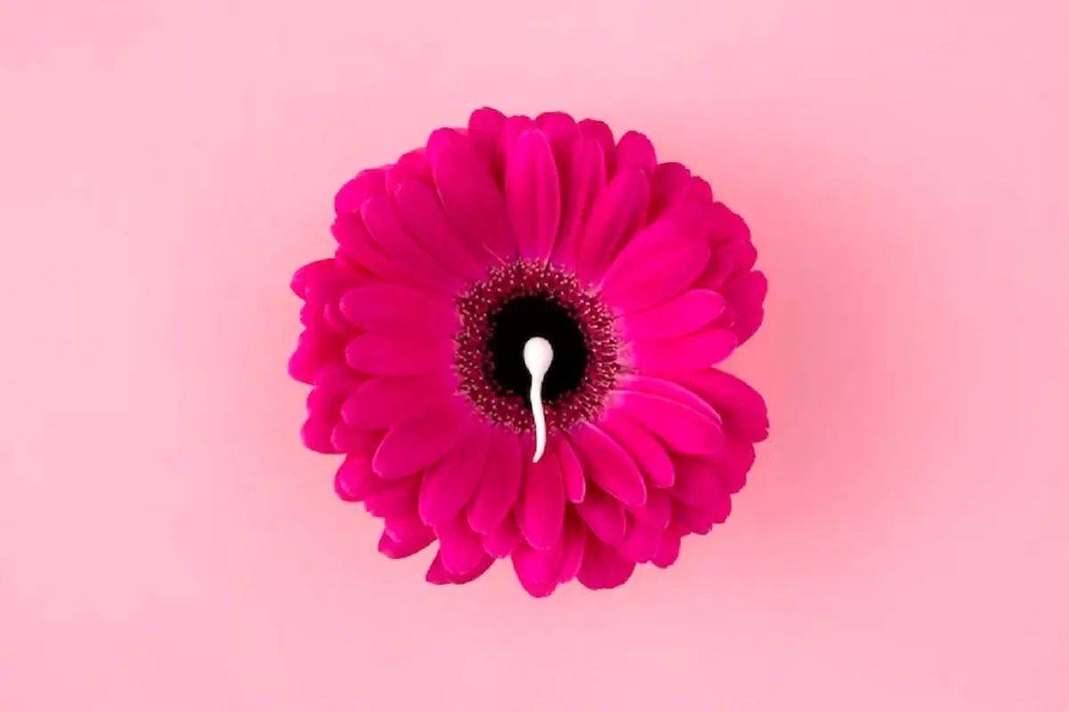 5 نکته برای جلوگیری از مشکلات باروری و قاعدگی