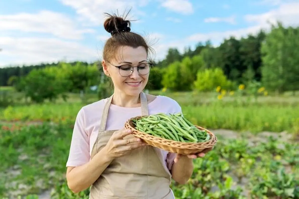 فواید مصرف این خوراکی سبز برای سلامتی چیست؟