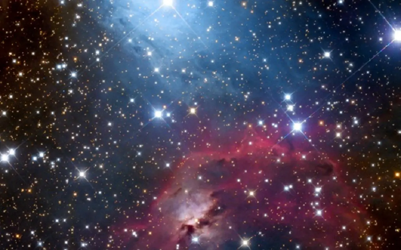 زیبایی خیره کننده  مشهورترین شکارچی دنیا