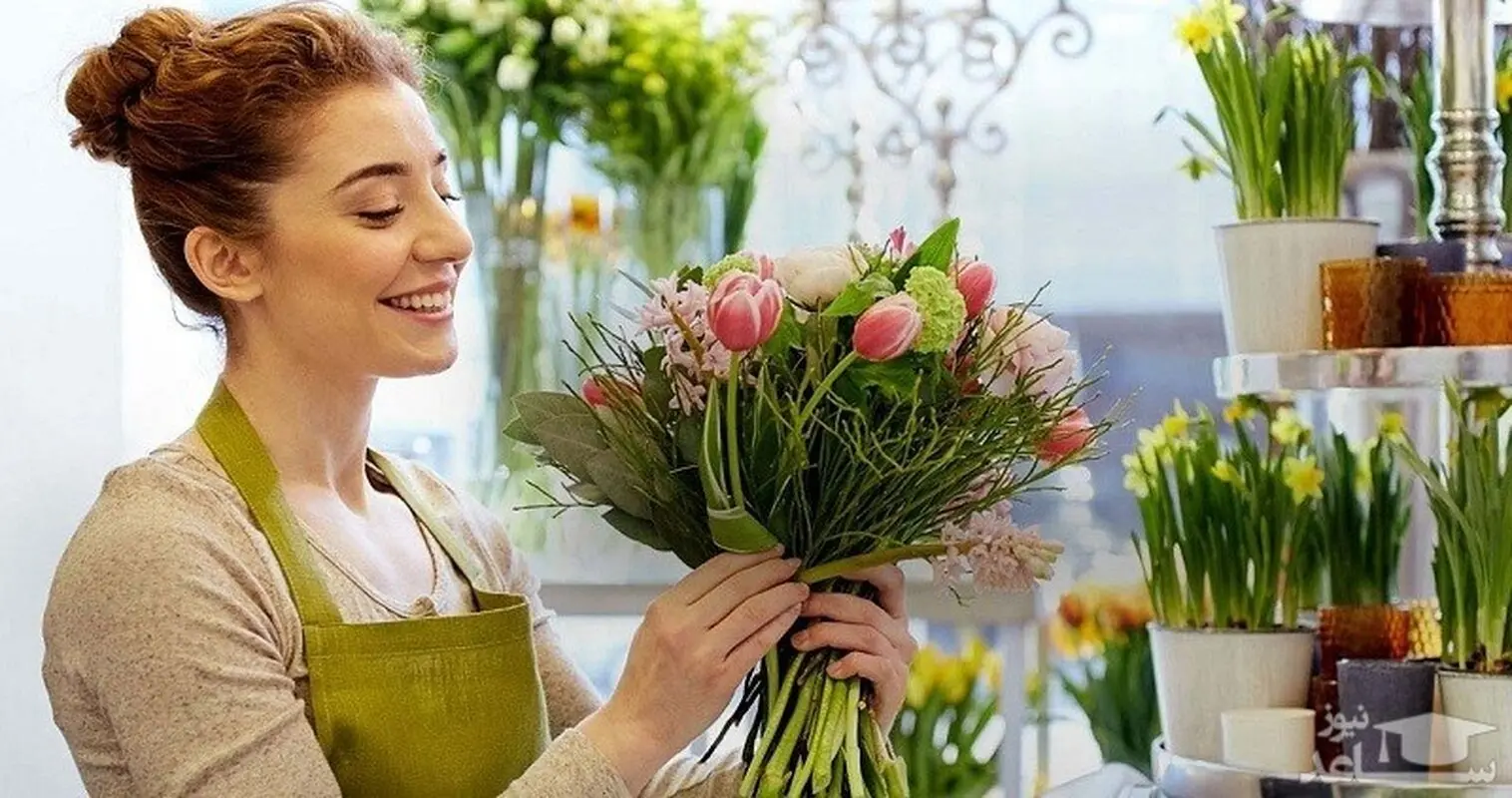 گیاهان آرام بخش؛ برای داشتن خوابی آرام این گیاهان را در اتاق خواب خود بگذارید!