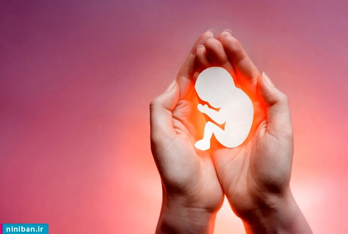 سقط جنین در آمریکا؛ قانونی؟ غیر قانونی؟ چیزی بین این دو؟