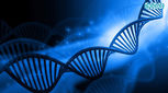 آزمایش تشخیص حاملین بیماری‌های ژنتیک چیست؟