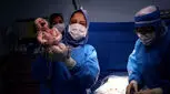 دکتر فروزنده فارغ پور؛ متخصص زنان، زایمان و نازایی