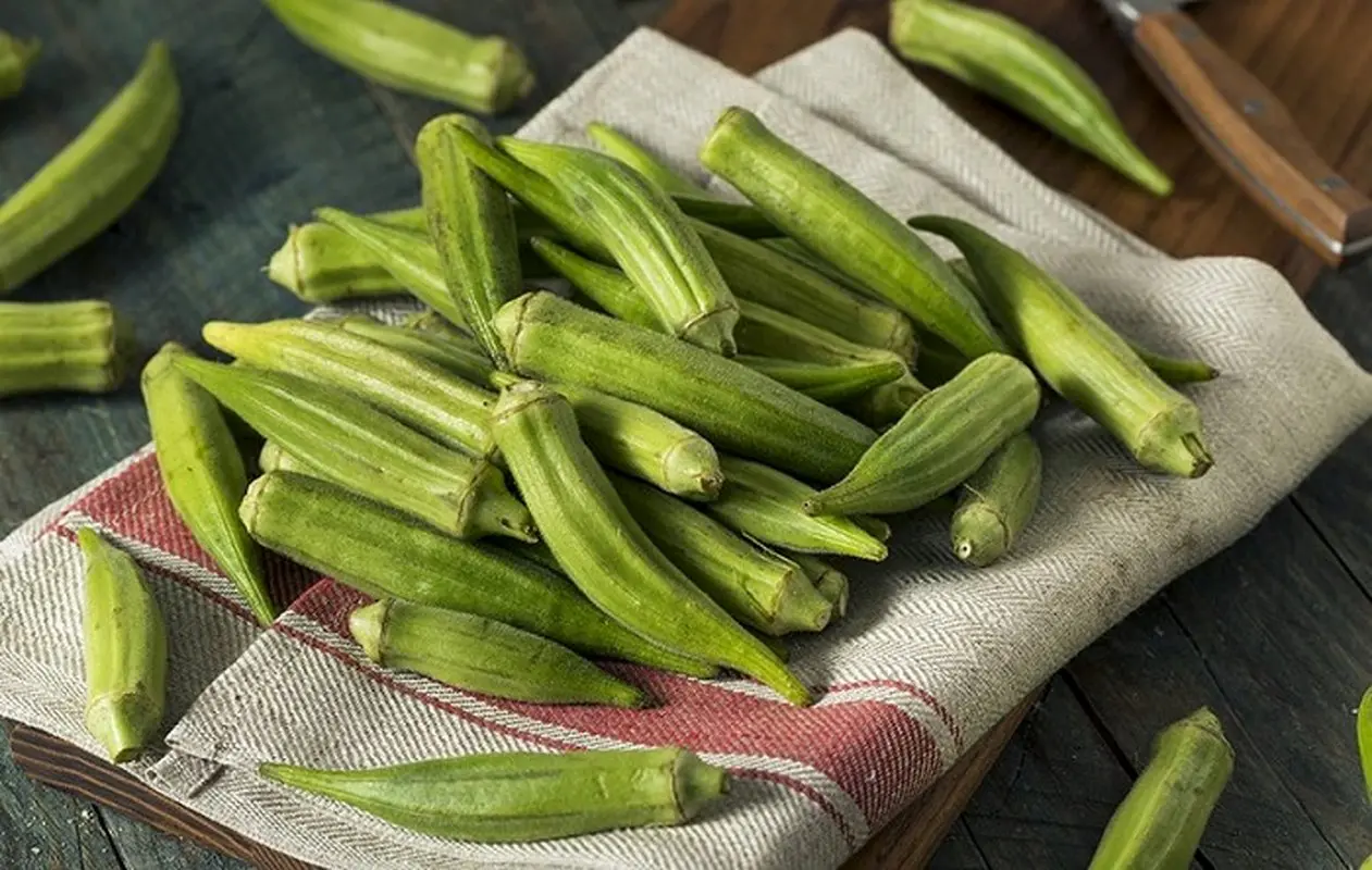 هرآنچه باید درباره‌ی خواص بامیه بدانید (فواید، عوارض و راهنمای خرید و نگهداری)