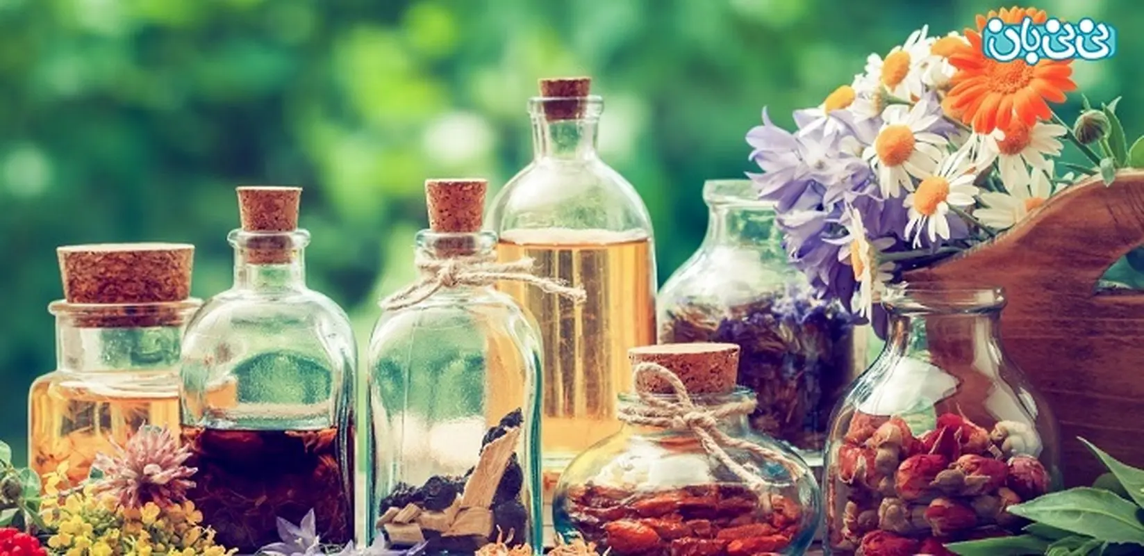 معرفی چند داروی تاخیری طبیعی، تضمینی برای رابطه جنسی طولانی‌تر