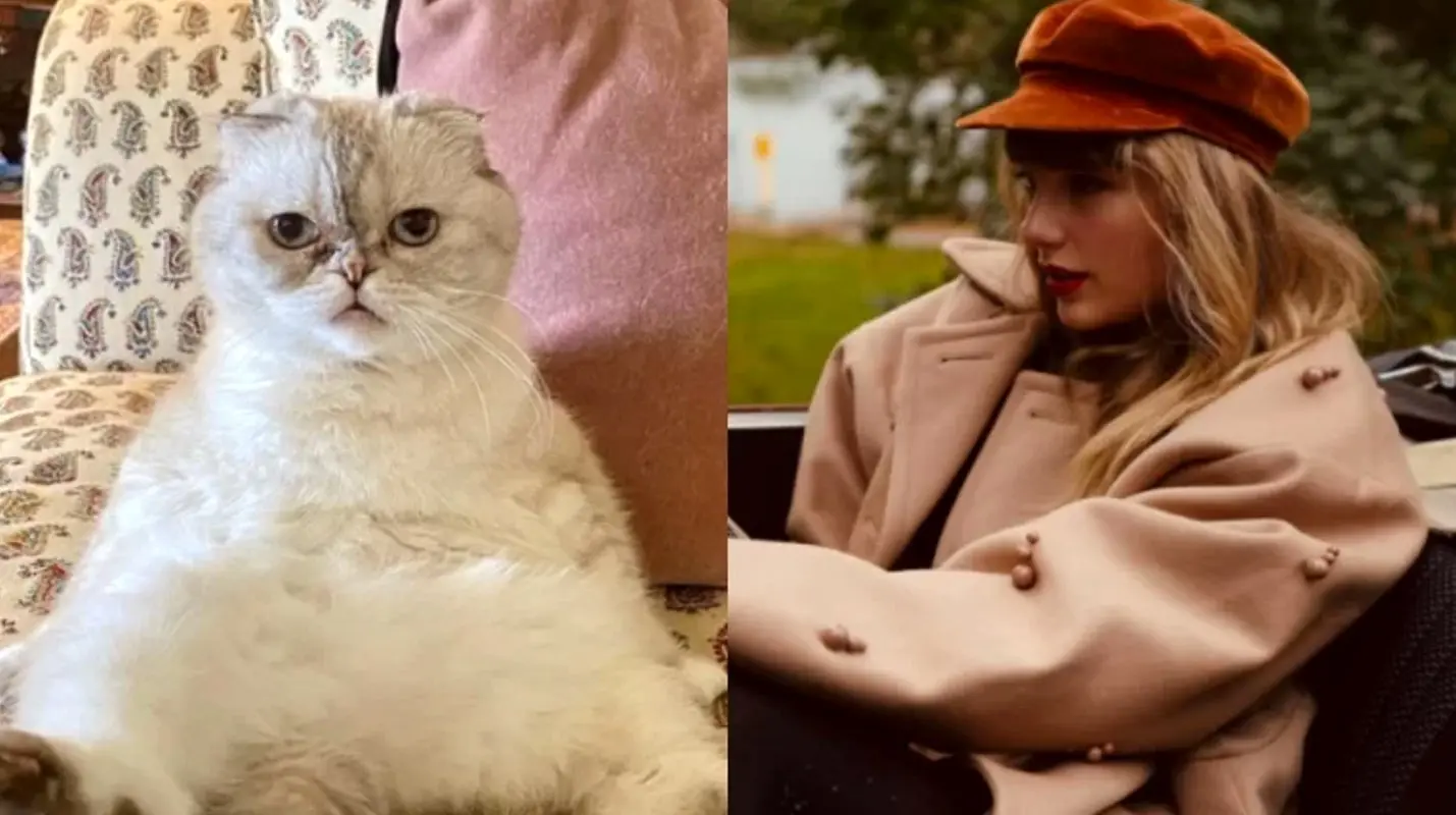 گربه 97 میلیارد دلاری خانم خواننده که شاخ مجازی هم هست!