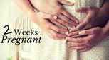 هفته دوم بارداری، تمام آنچه باید بدانید