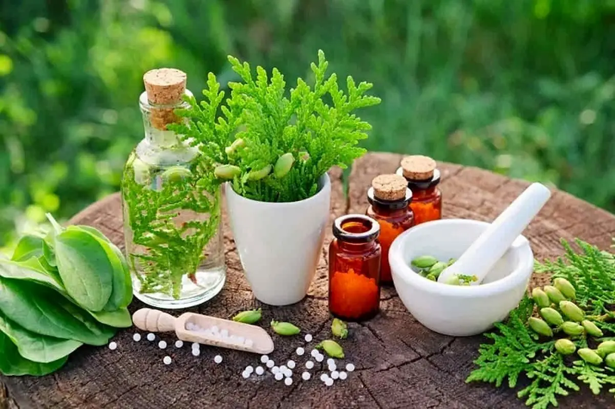 جادوی ۵ داروی گیاهی برای افزایش میل جنسی