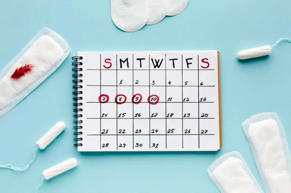 مدت زمان تخمک گذاری چقدر طول می کشد؟