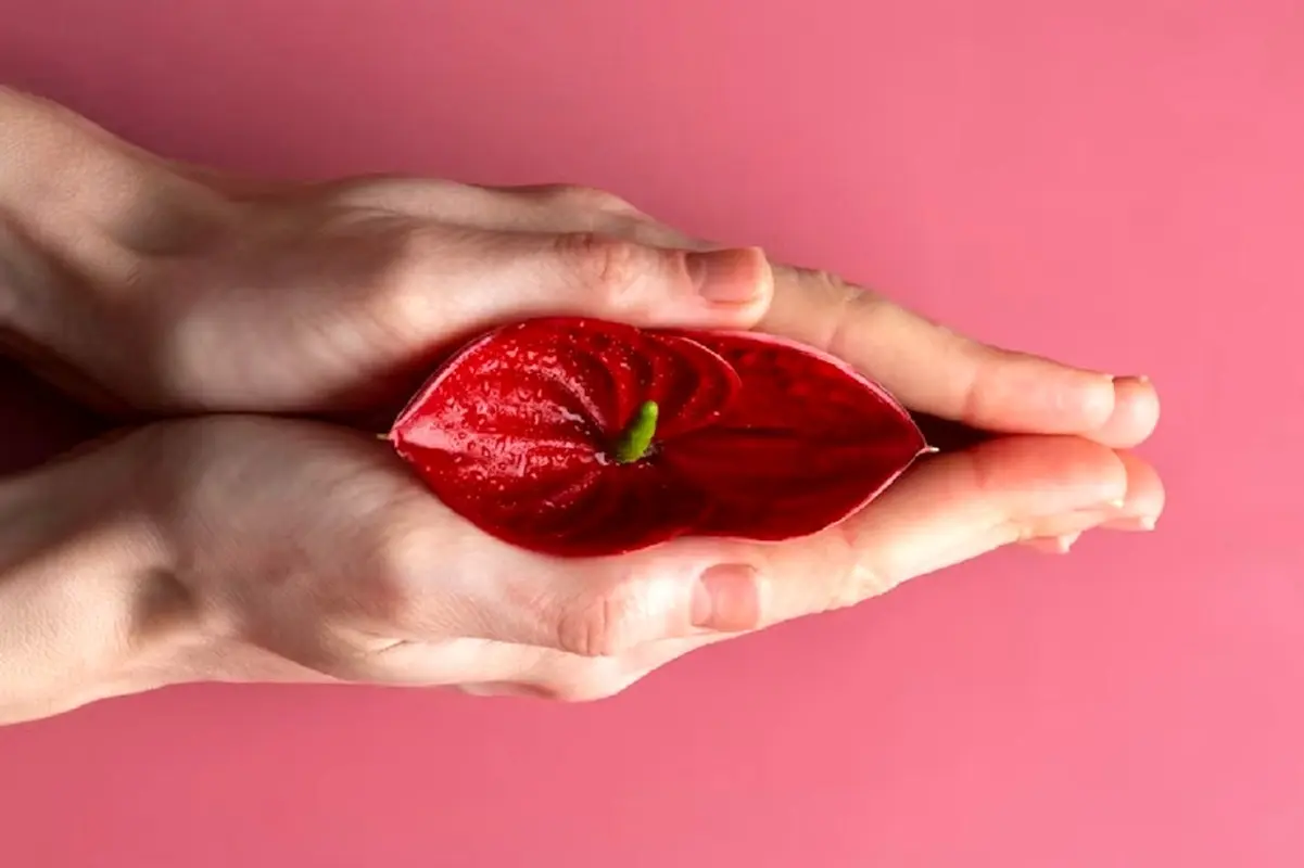 لابیا چیست و شکل طبیعی لابیا چگونه است؟