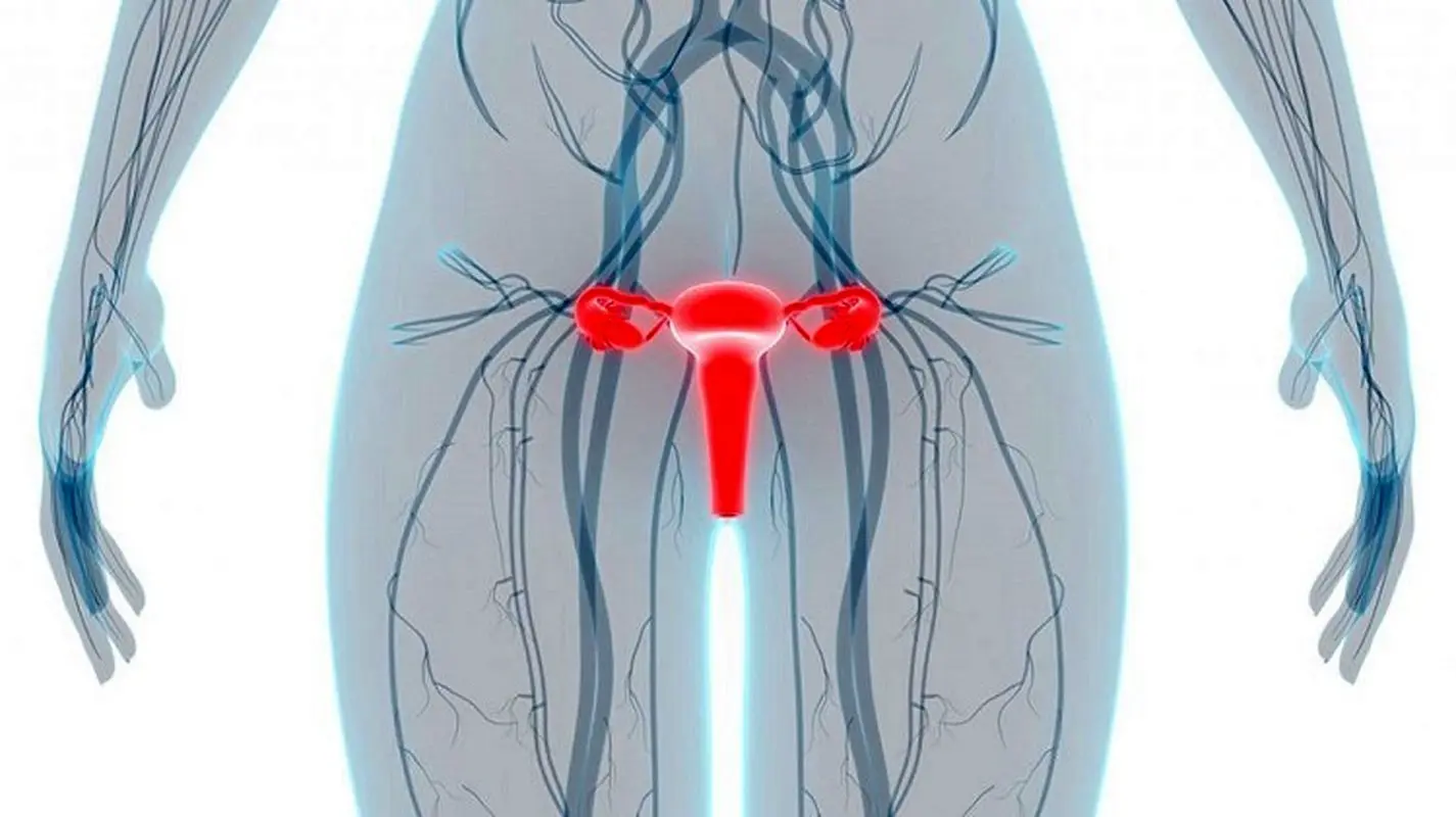 سرطان فرج یا سرطان پرینه چیست و چه علائمی دارد؟ 