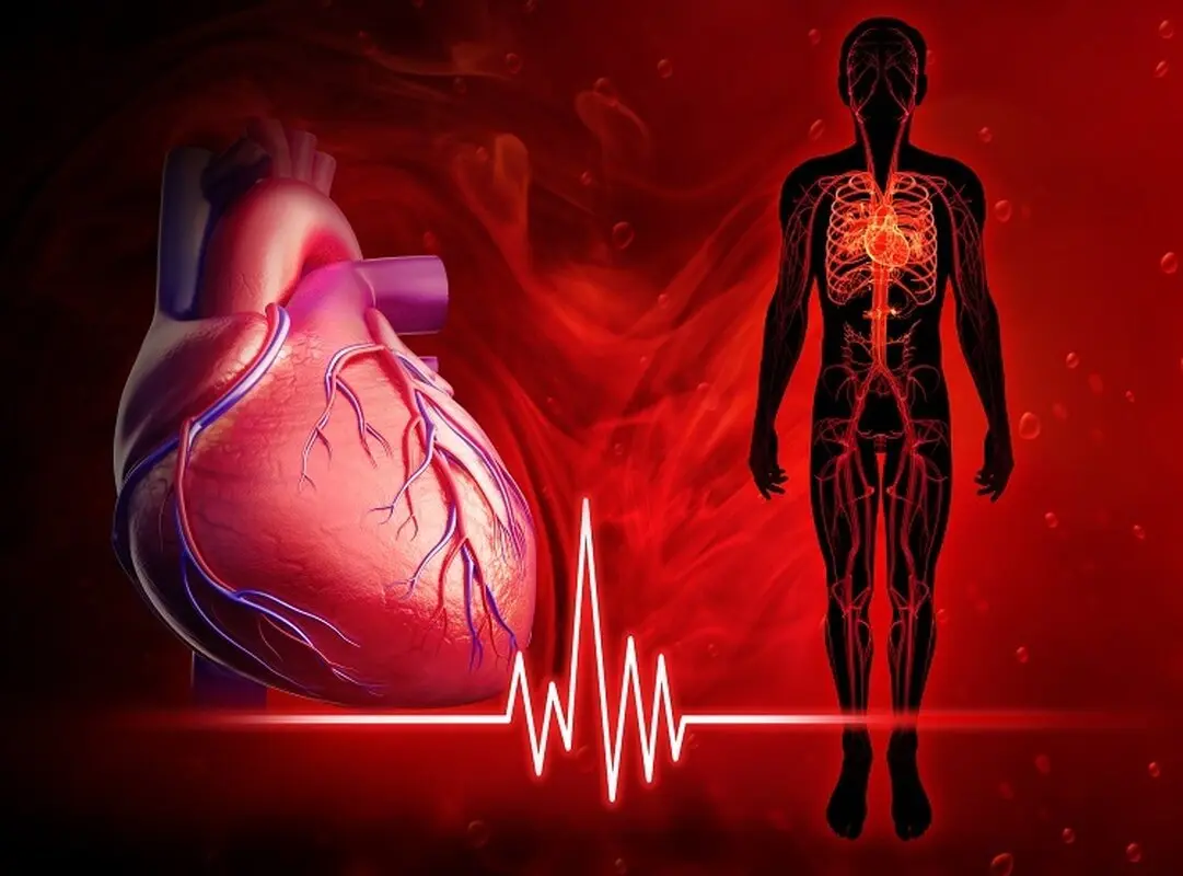 علت ضربان قلب بالا در حالت استراحت