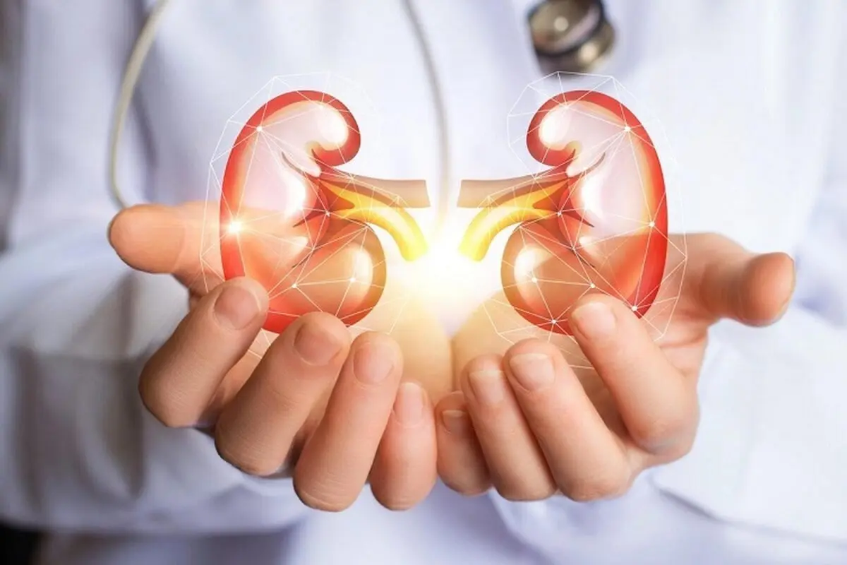 چگونه از کلیه‌ها مراقبت کنیم؟  با این ۸ راز آشنا شوید
