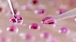 چه زمانی انجام IVF ضروری است و چه راه های دیگری غیر از لقاح مصنوعی وجود دارد؟