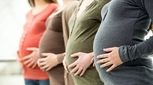 هر آنچه که در مورد هفته ۱۳ تا ۱۶ بارداری باید بدانید 