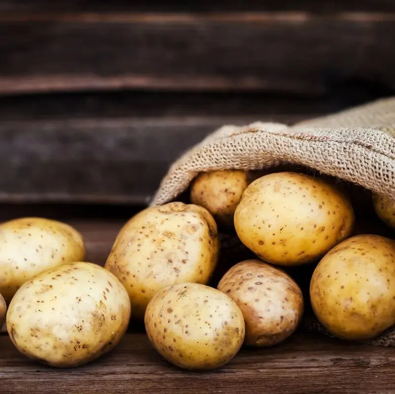 ناهاری خوشمزه برای اعضای خانواده در یک چشم بهم زدن!