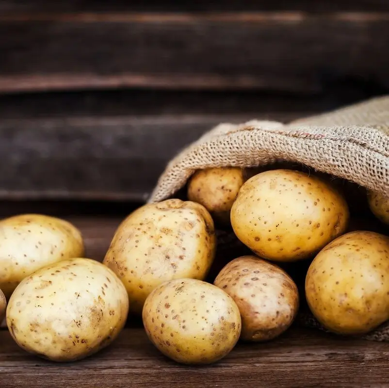 ناهاری خوشمزه برای اعضای خانواده در یک چشم بهم زدن!