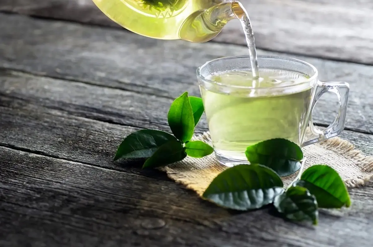 تاثیر چای سبز بر پوست/ زیبایی جادویی با این گیاه سبز 
