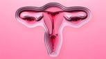 آیا ترشحات واژن نشانه بروز بیماری در زنان هستند؟