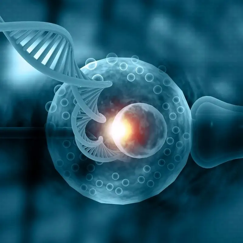 حفظ باروری در بیماران مبتلا به سرطان ممکن است؟/ روش ها