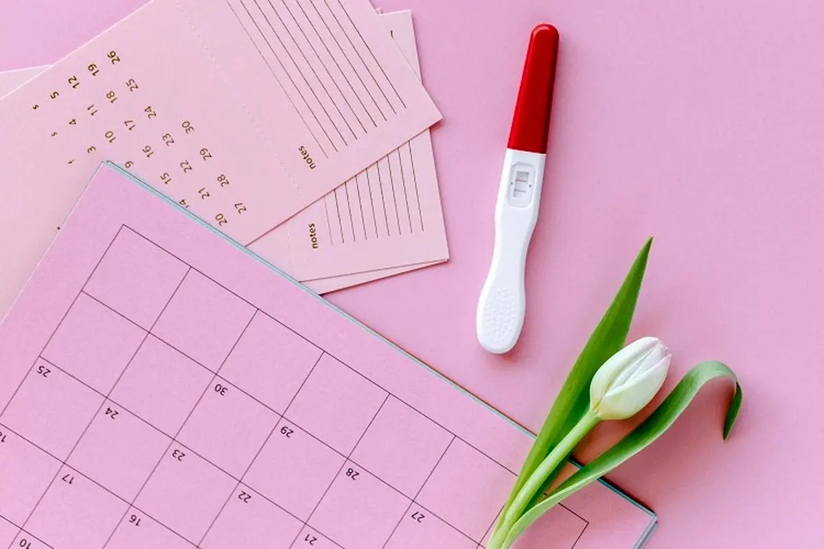 کیت تخمک گذاری مثبت، چطور نتایج آزمایش تخمک گذاری را بخوانیم؟