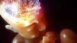 هوش جنین در چند ماهگی تشکیل می شود؟