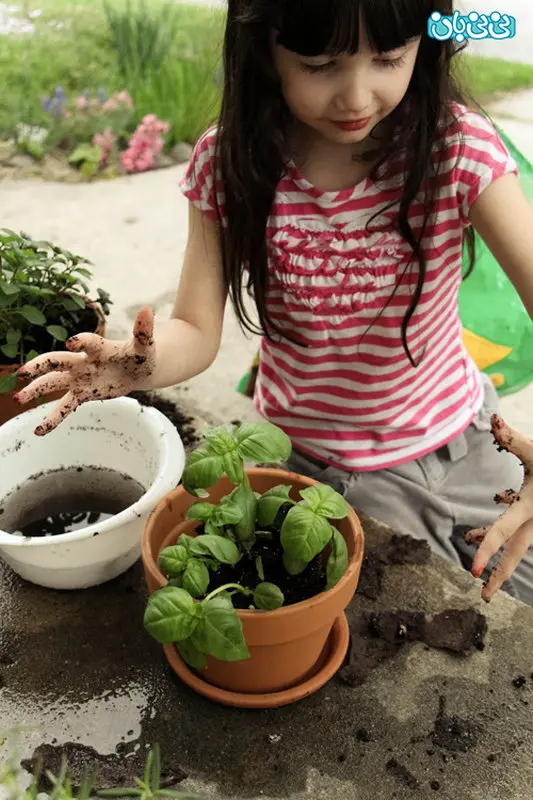 گیاهان سمی برای کودکان، چه خطراتی دارد؟