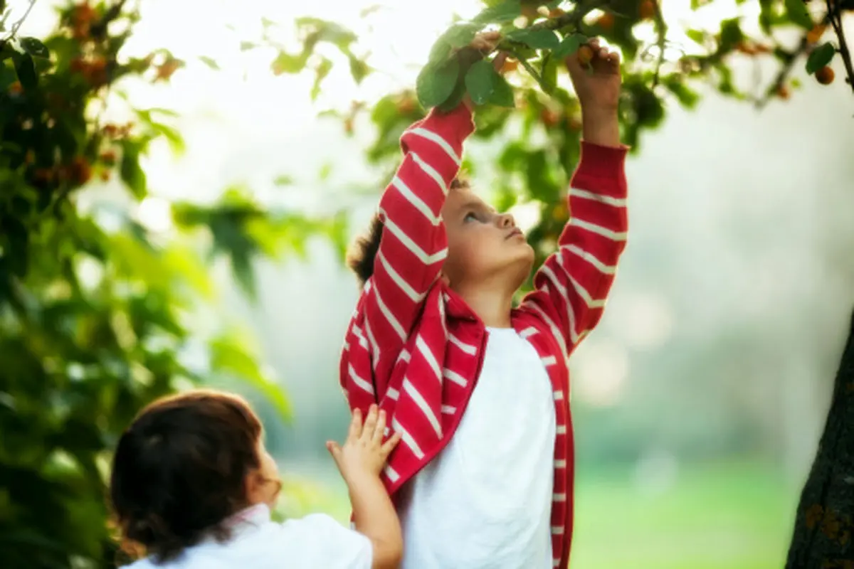 آشنایی کودکان با طبیعت، یک وظیفه عمومی است!
