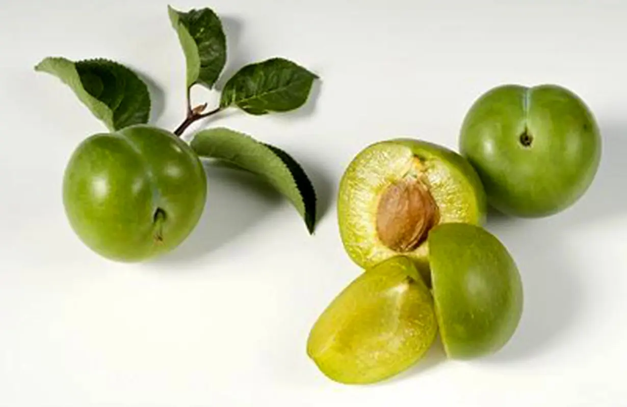 گيلاس و گوجه سبز، برای زیر سه سال ممنوع