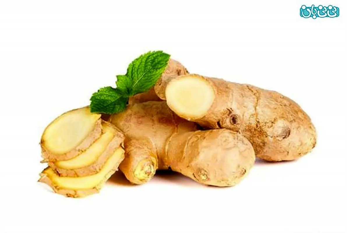 زنجبیل، گیاهی برای رفع تهوع بارداری